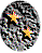 star2.gif (1723 bytes)